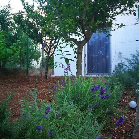 Griva Apartment
